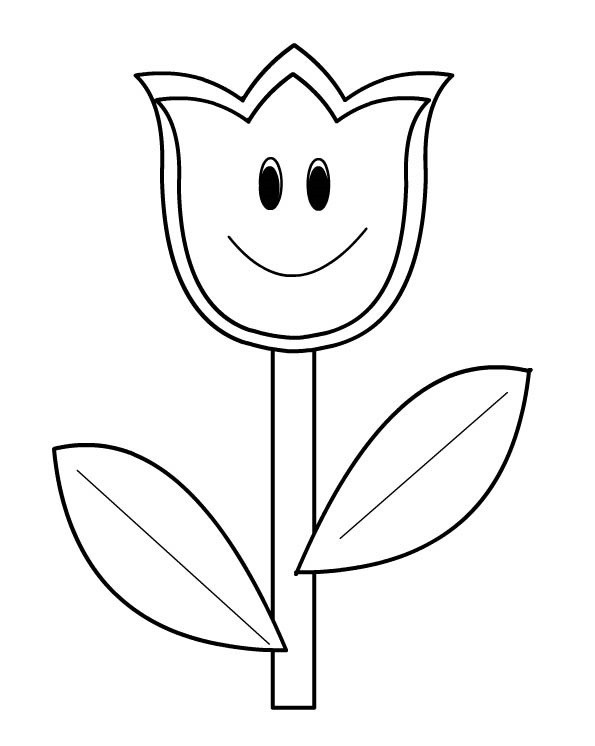 Tulipán #30388