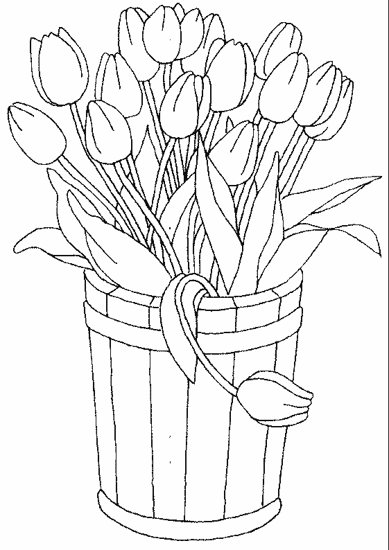 Tulipán #30399