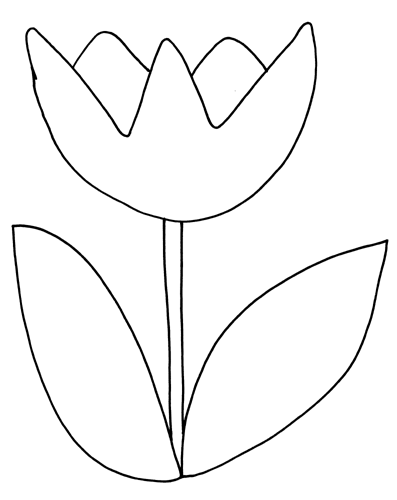Tulipán #30401