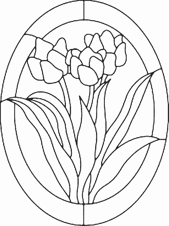 Tulipán #30402