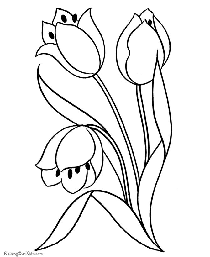 Tulipán #30413