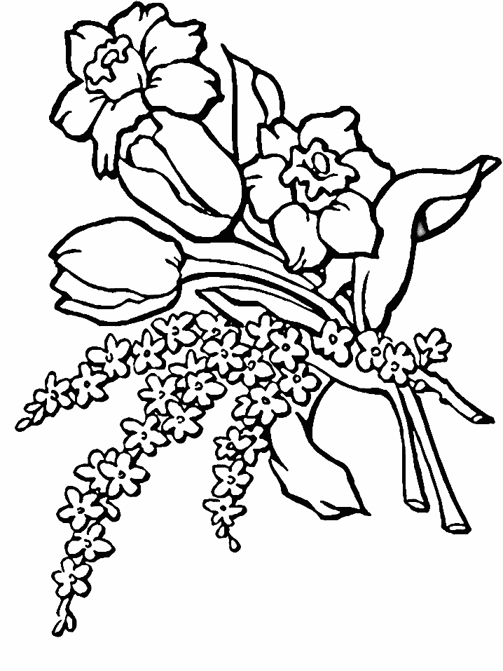 Tulipán #30426