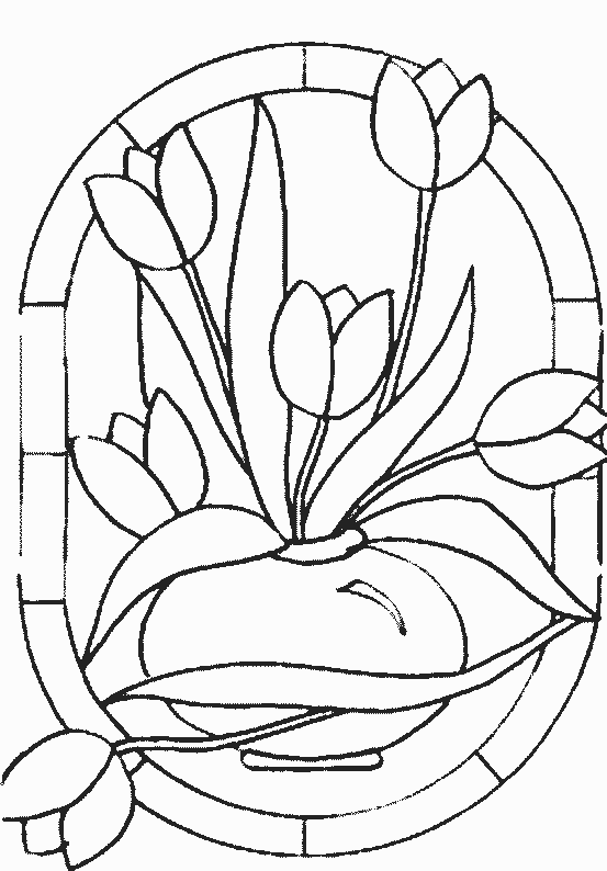 Tulipán #30436