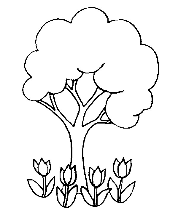 Tulipán #30449