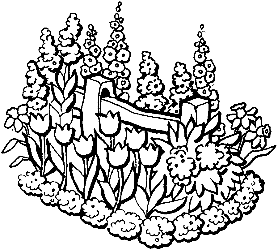Tulipán #30452