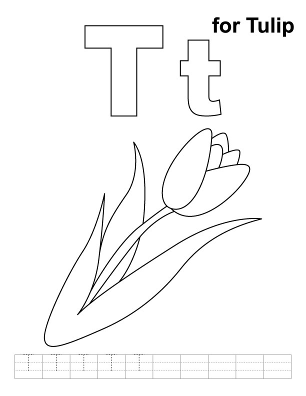 Tulipán #30453