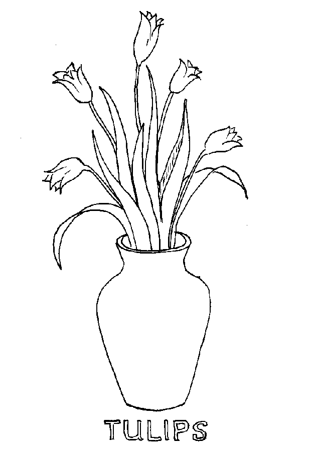 Tulipán #30455