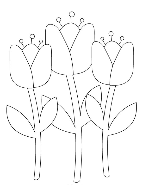 Tulipán #30458