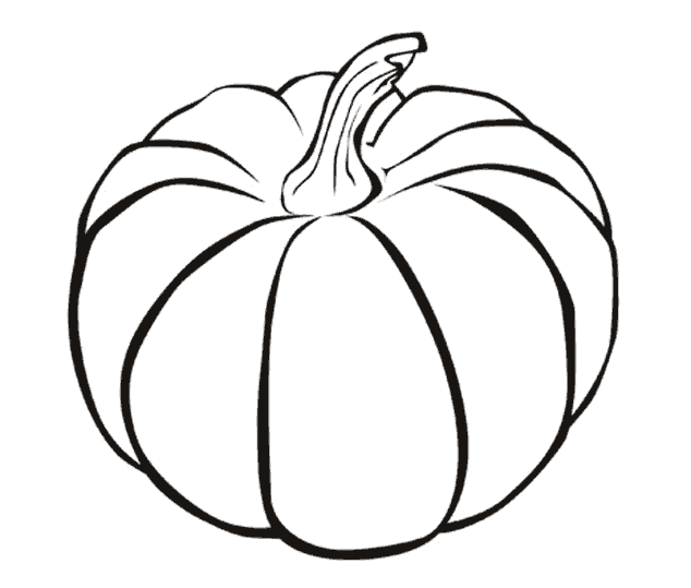 Calabaza #30819