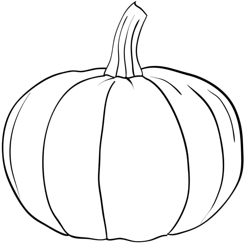 Calabaza #30820