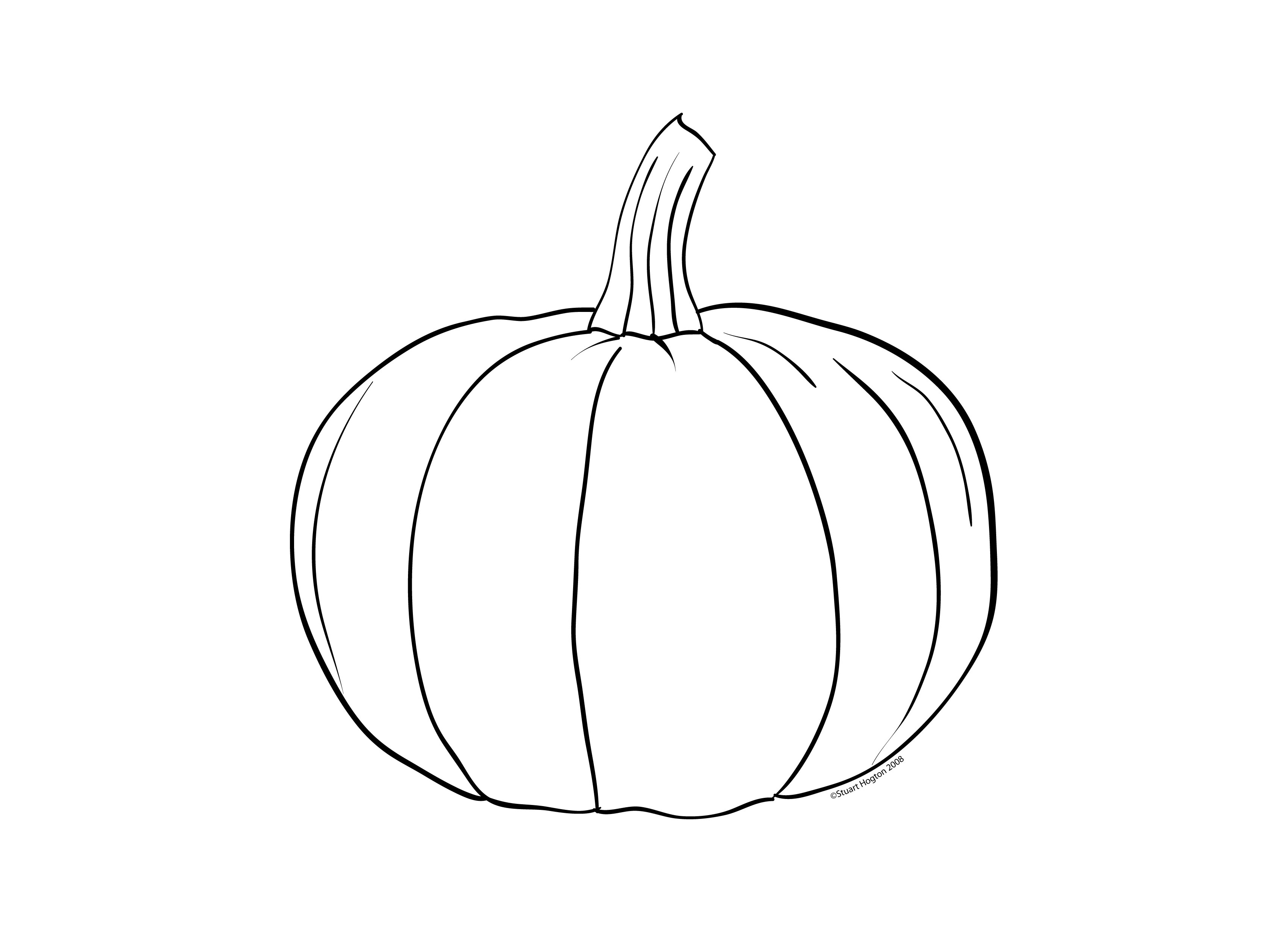 Calabaza #30822