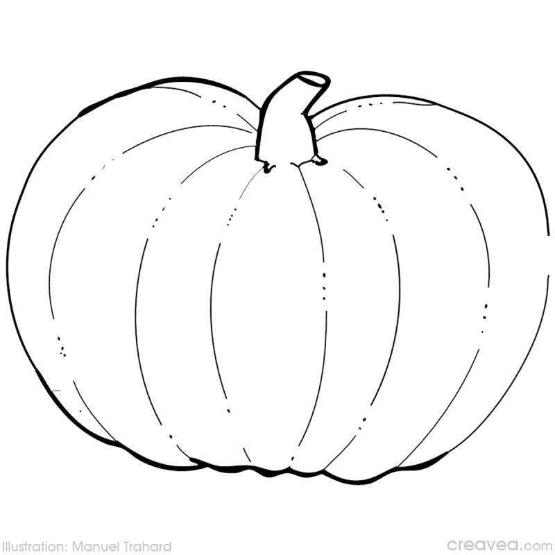 Calabaza #30823