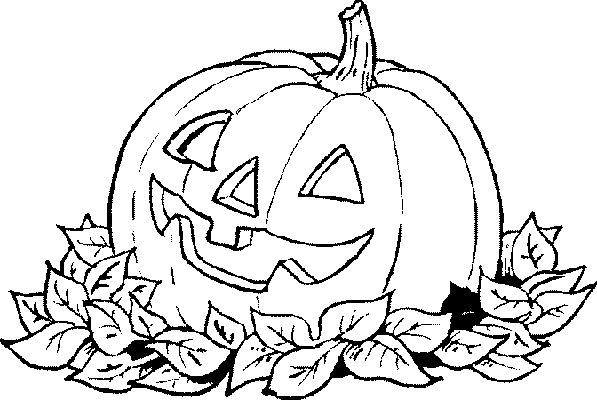 Calabaza #30829