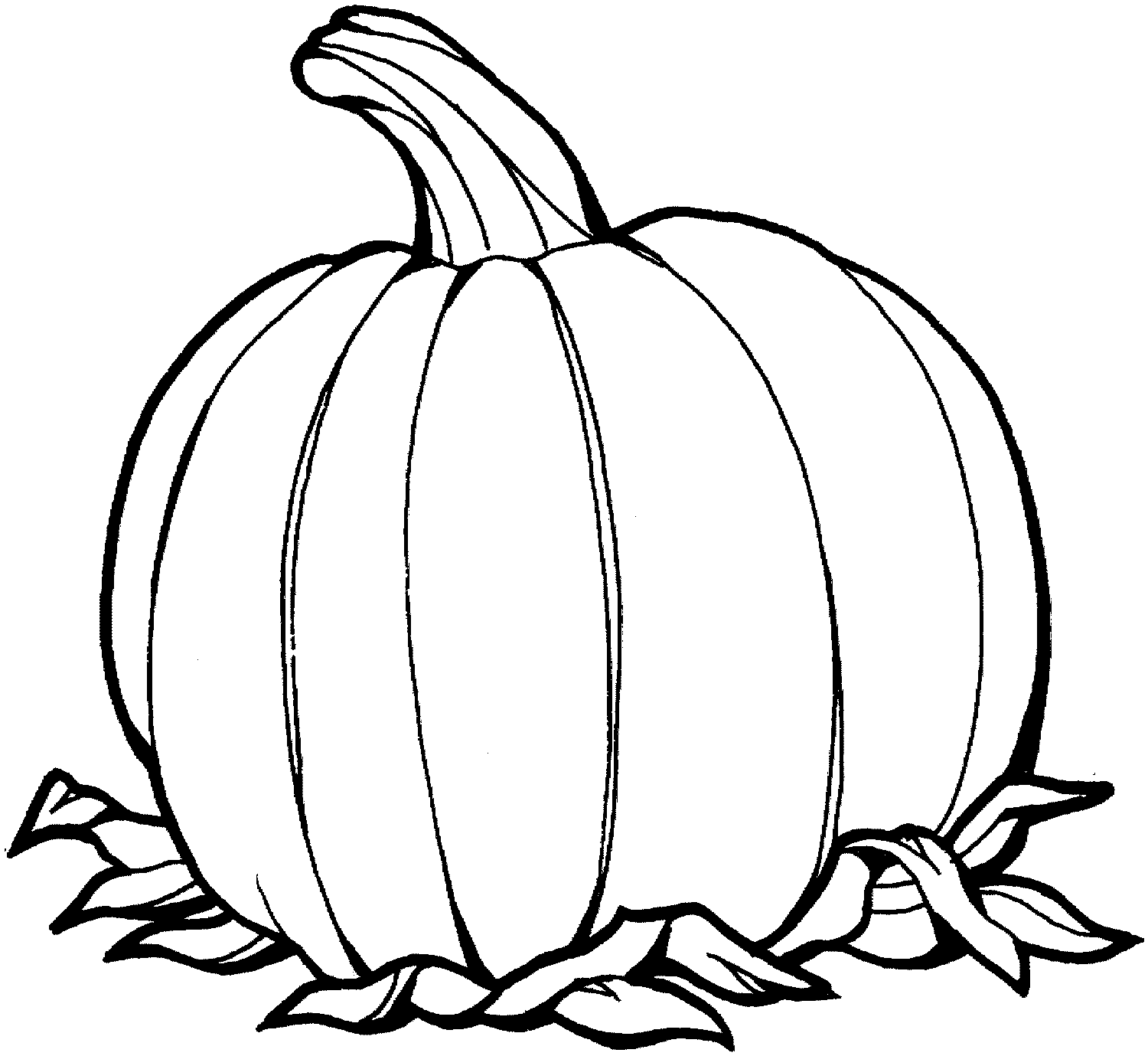 Calabaza #30834