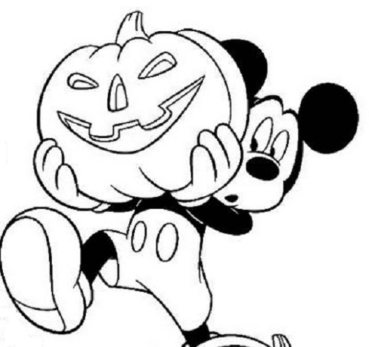 Calabaza #30839