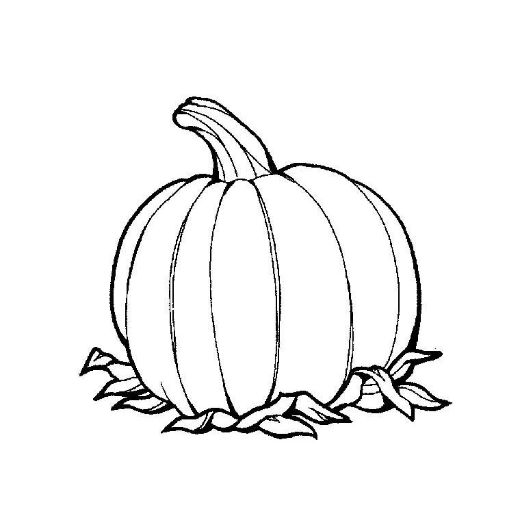 Calabaza #30850