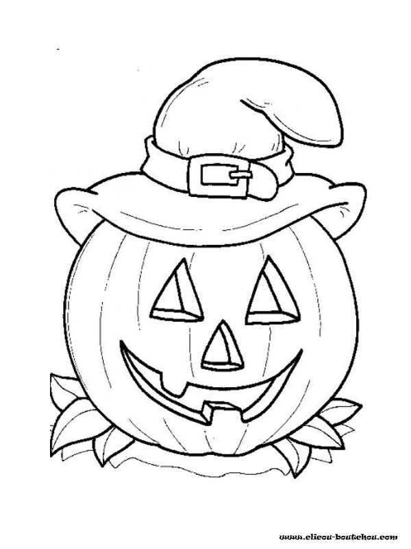 Calabaza #30856