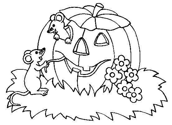 Calabaza #30863