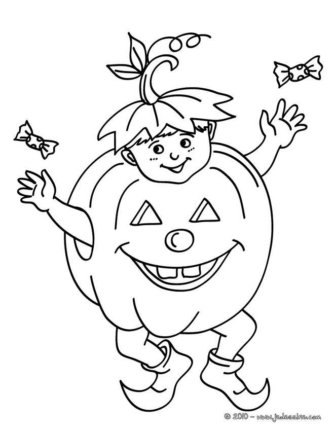 Calabaza #30866