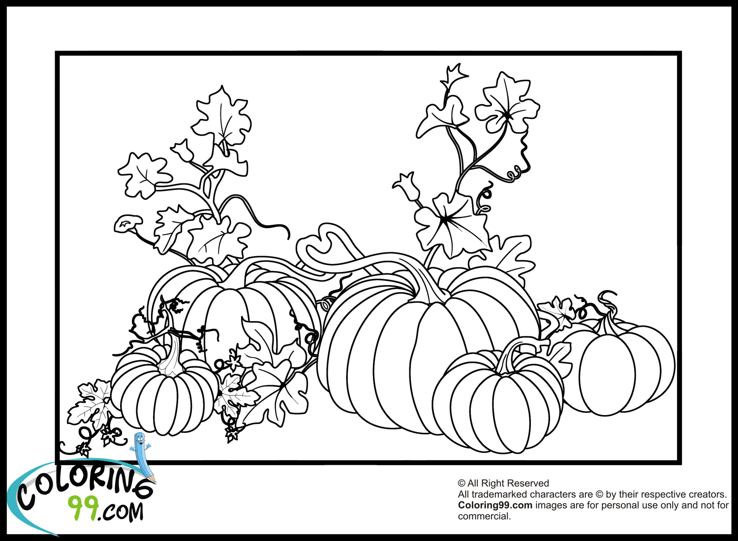 Calabaza #30867