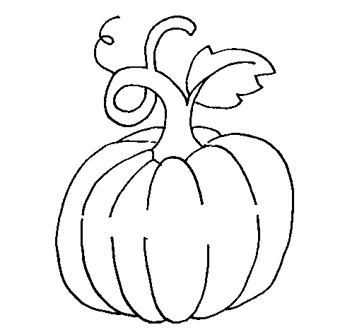 Calabaza #30871