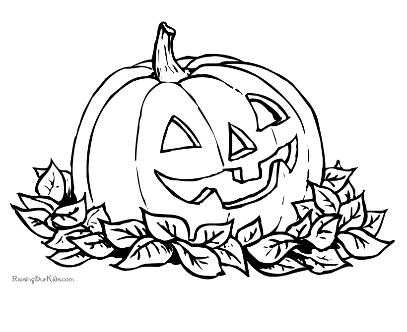 Calabaza #30876