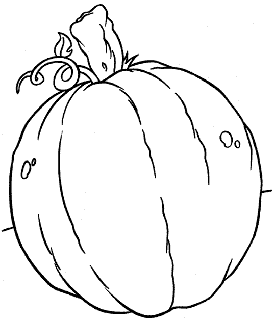 Calabaza #30886