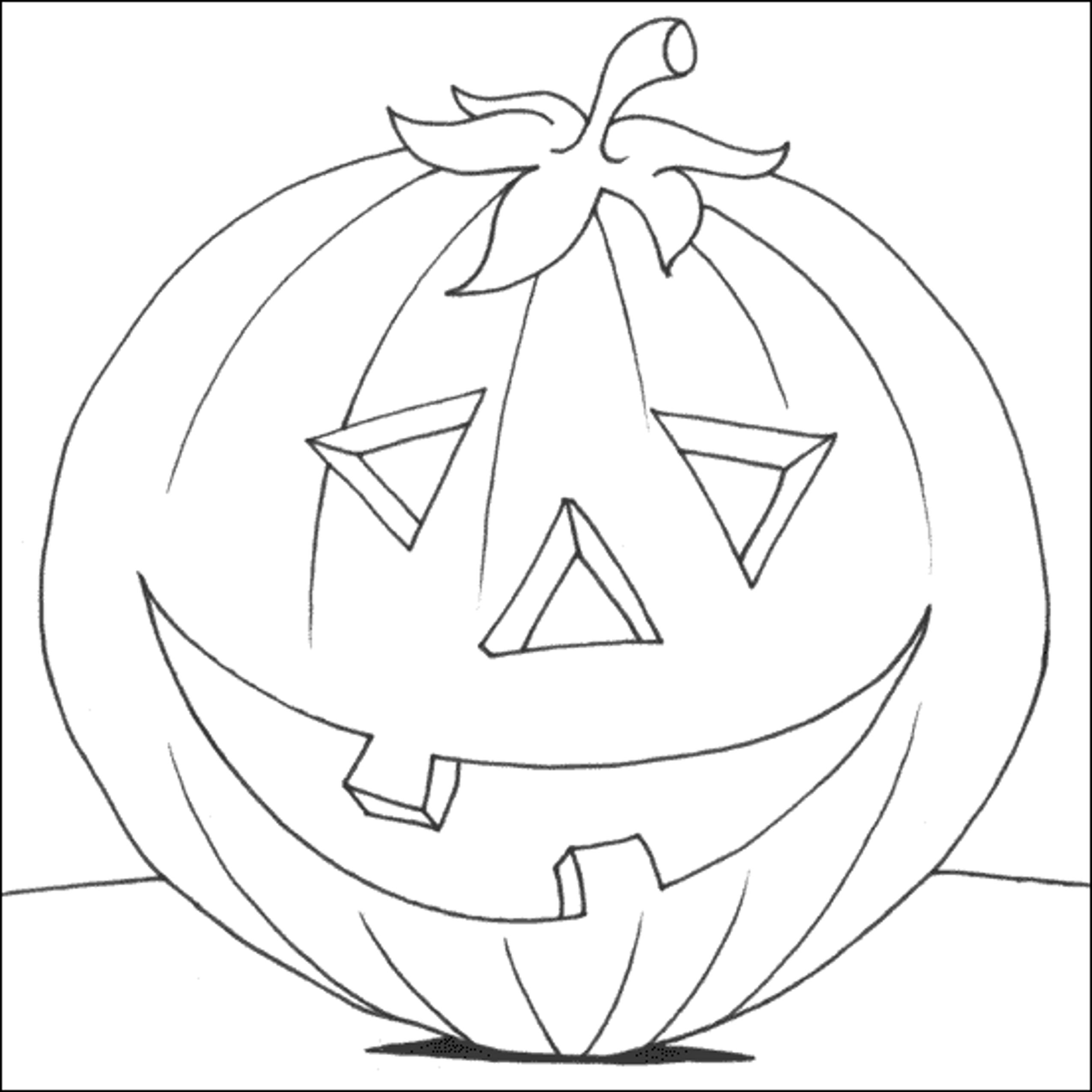 Calabaza #30887
