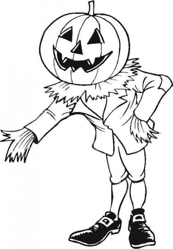 Calabaza #30899