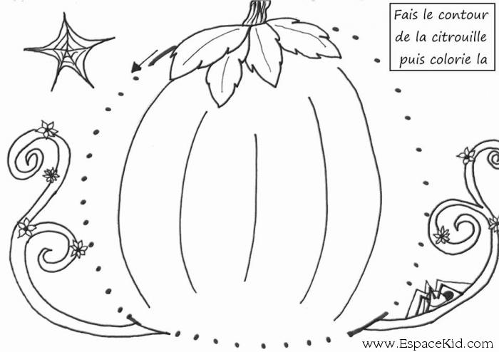 Calabaza #30901