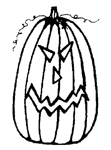 Calabaza #30908