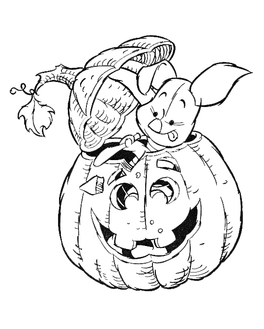 Calabaza #30912