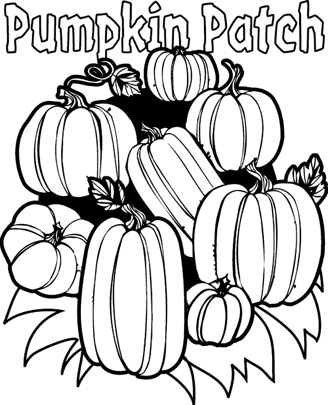 Calabaza #30919