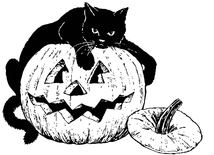 Calabaza #30921