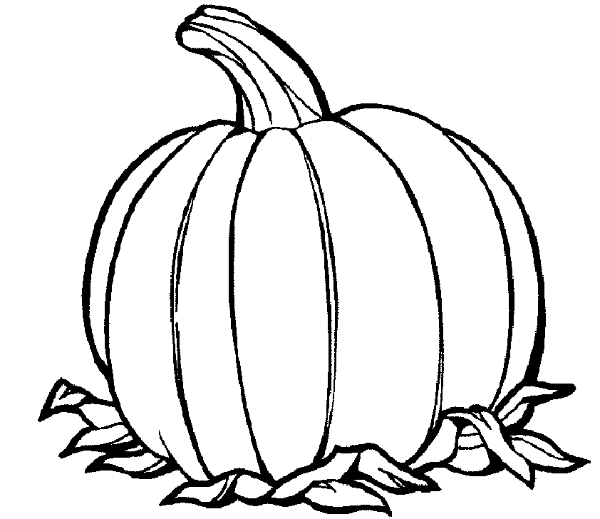Calabaza #30924