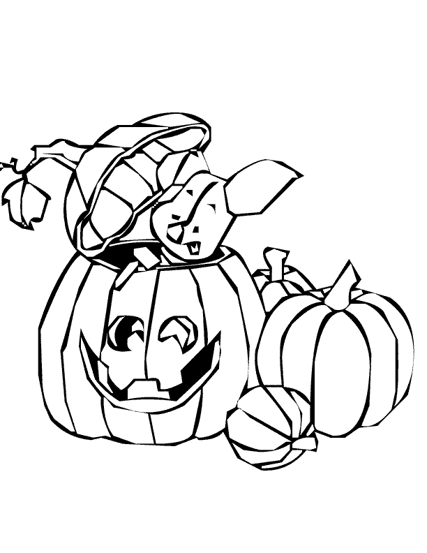 Calabaza #30925