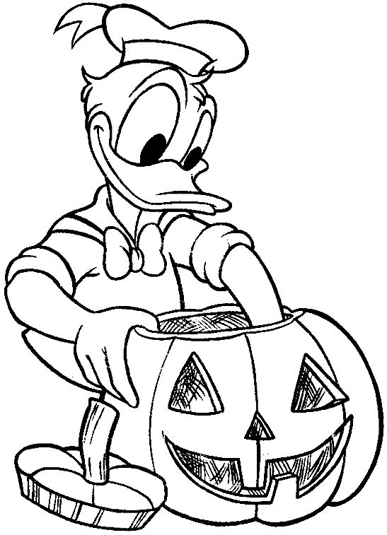 Calabaza #30945