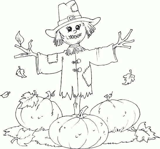 Calabaza #30946
