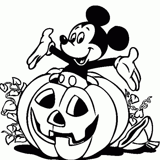Calabaza #30952