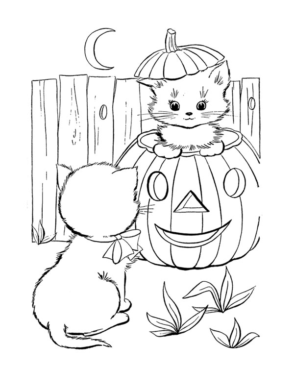 Calabaza #30954
