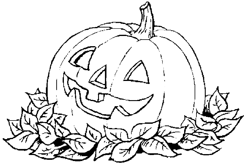 Calabaza #30958