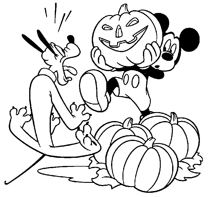 Calabaza #30964