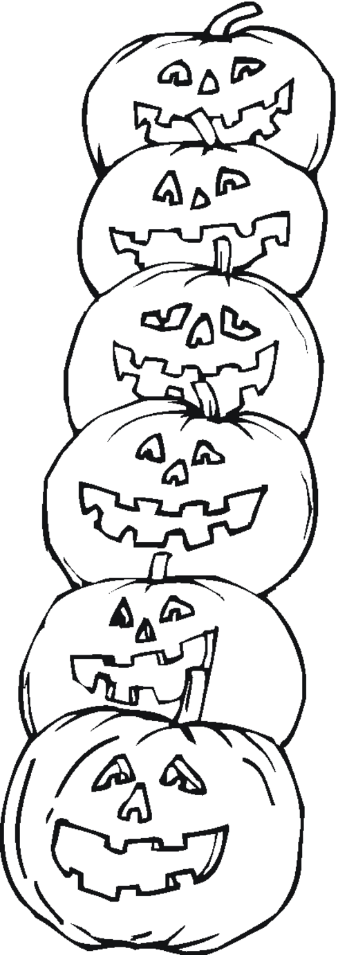 Calabaza #30966