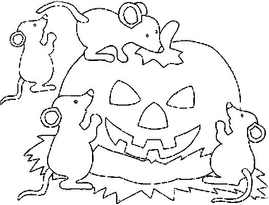 Calabaza #30973