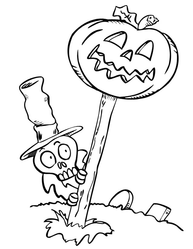 Calabaza #30975