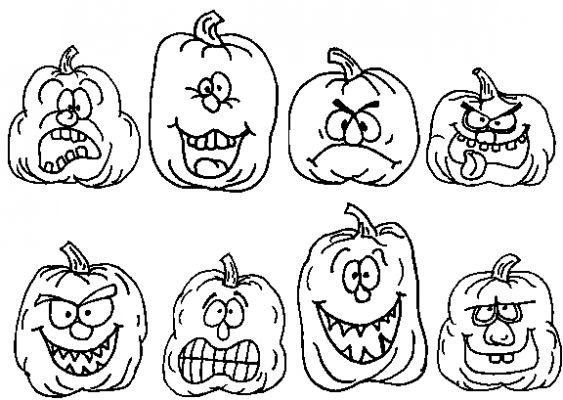 Calabaza #30979