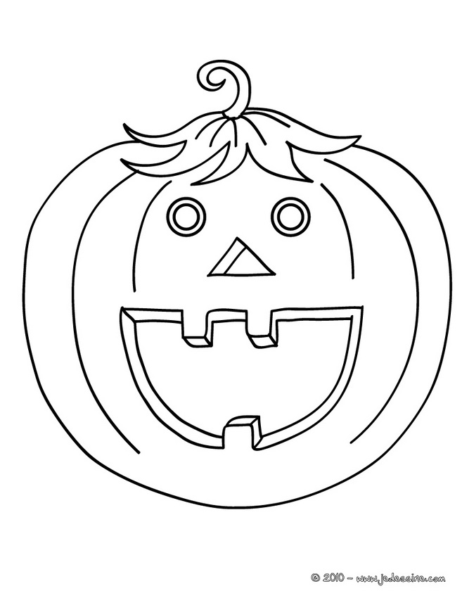 Calabaza #30981