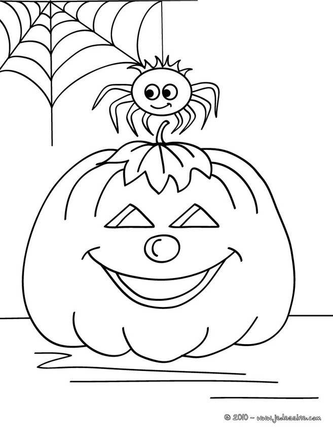 Calabaza #30990