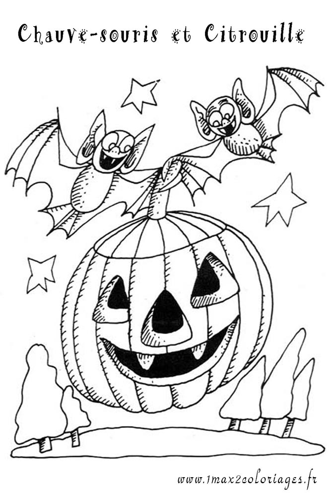 Calabaza #31002