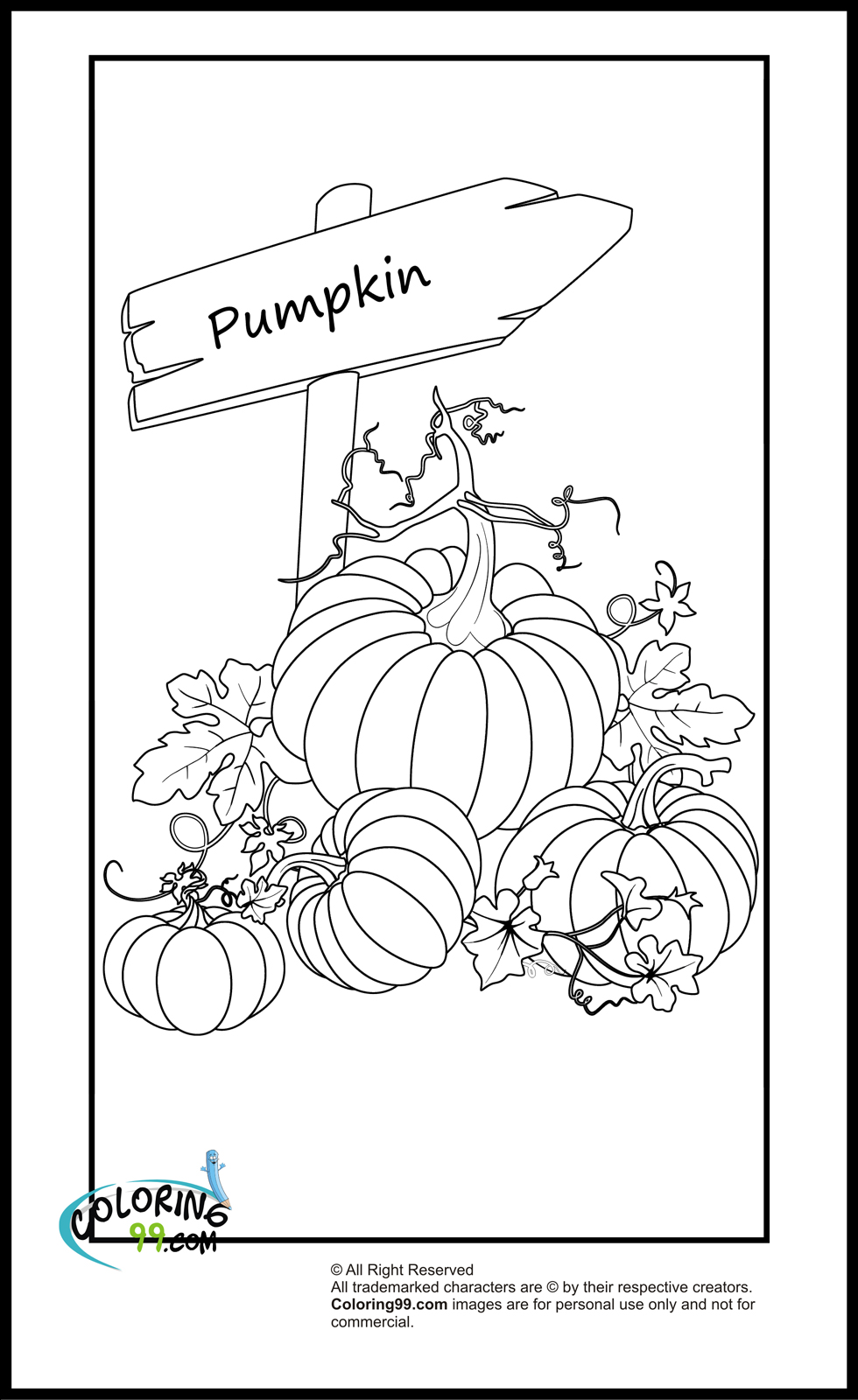 Calabaza #31003